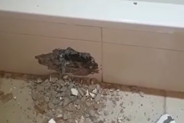 איתור ותיקון נזילות מים